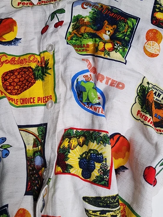 Jane + Delancey Medium Travel Print Shirt Dress Fruit & Postcard Short Sleeve - Picture 4 of 10